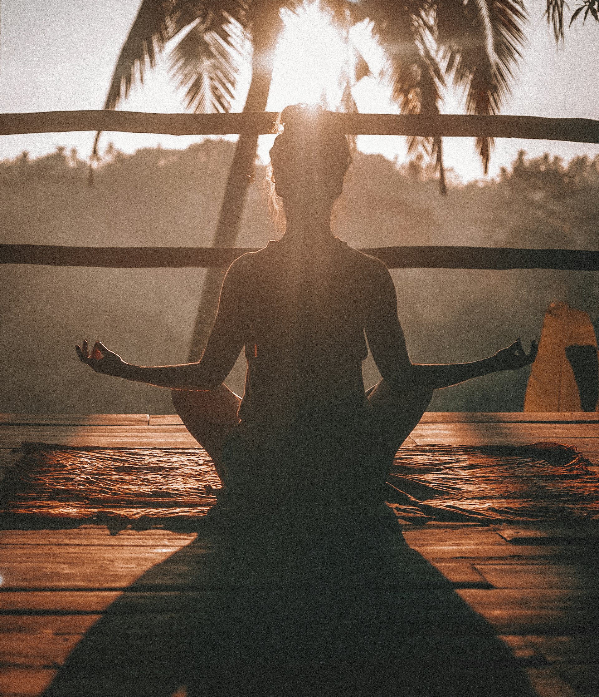 Calm morning wellness scene with botanical elements and natural light